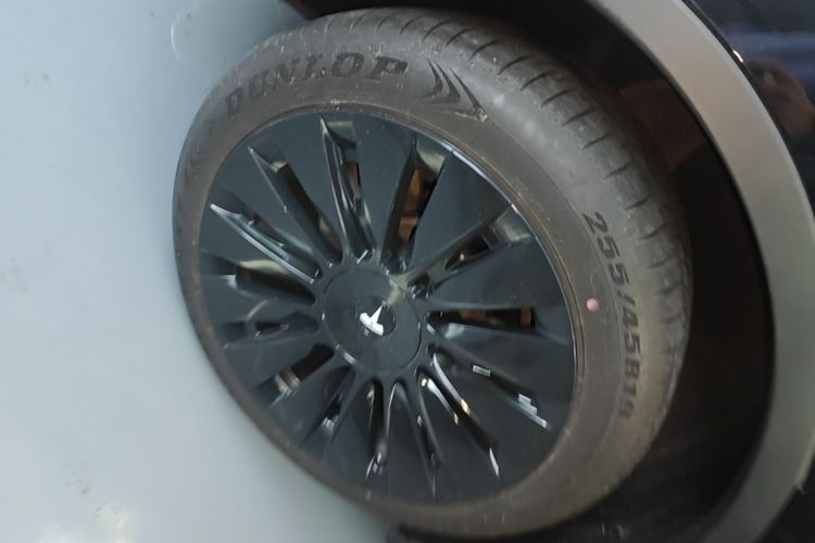 Used Tesla Model Y 2023 Rear-Wheel-Drive Version Exterior 5