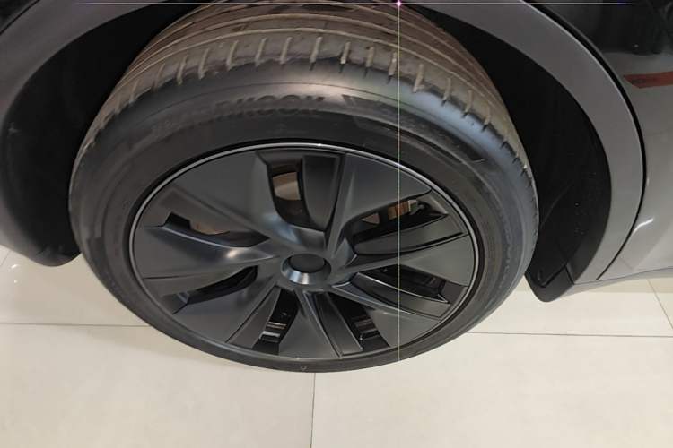 Used Tesla Model Y 2023 Long-Range All-Wheel-Drive Version Exterior 5