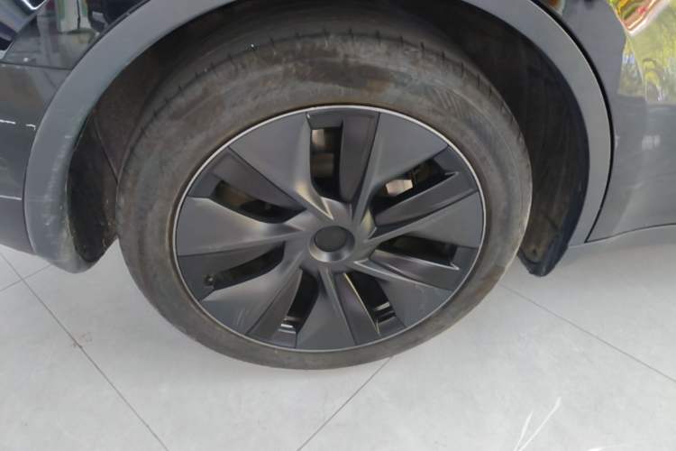 Used Tesla Model Y 2023 Rear-Wheel-Drive Version Exterior 5