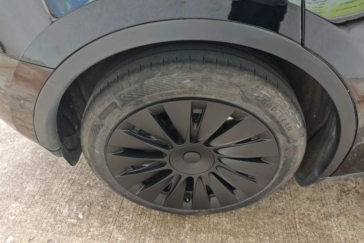 Used Tesla Model Y 2023 Rear-Wheel-Drive Version Exterior 5
