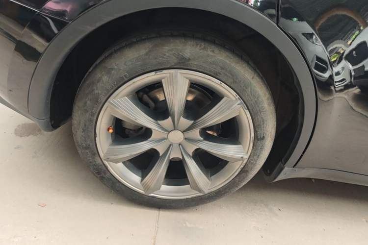 Used Tesla Model Y 2023 Rear-Wheel-Drive Version Exterior 5