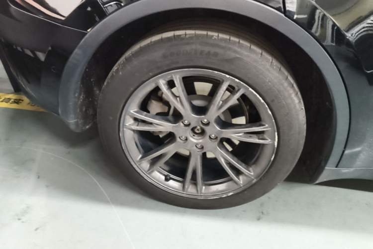Used Tesla Model Y 2023 Rear-Wheel-Drive Version Exterior 5