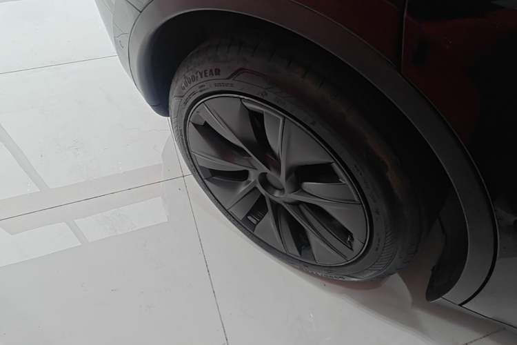 Used Tesla Model Y 2023 Rear-Wheel-Drive Version Exterior 5