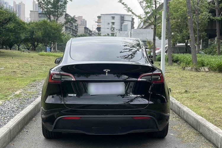 Used Tesla Model Y 2023 Rear-Wheel-Drive Version Exterior 5