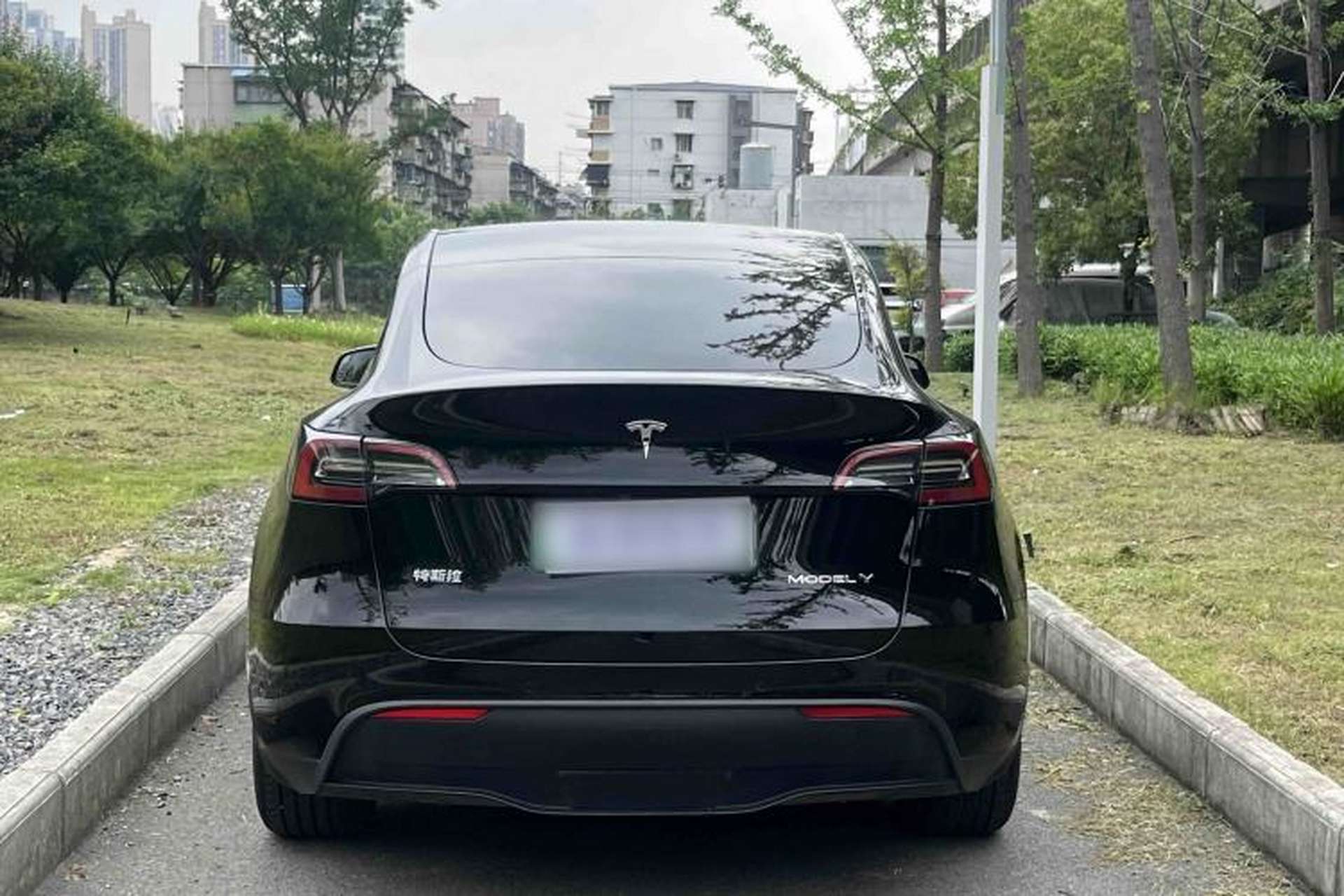 Used Tesla Model Y 2023 Rear-Wheel-Drive Version Exterior 5
