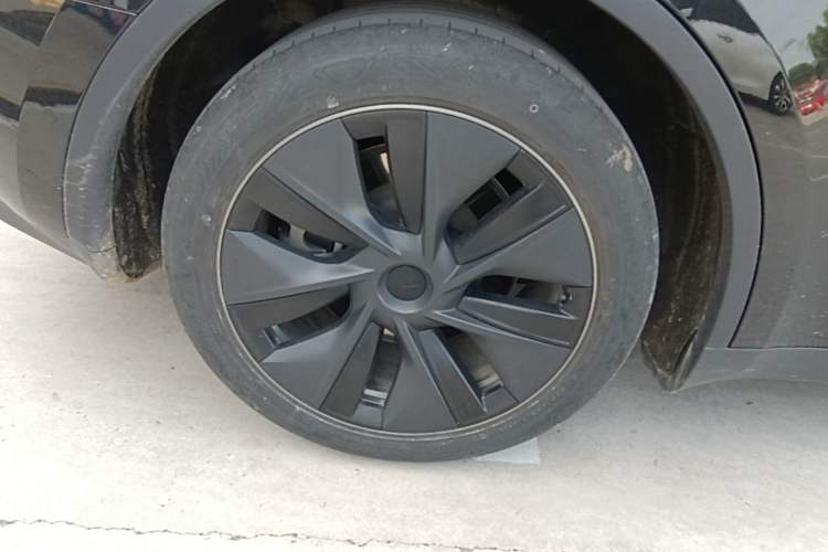 Used Tesla Model Y 2023 Rear-Wheel-Drive Version Exterior 5