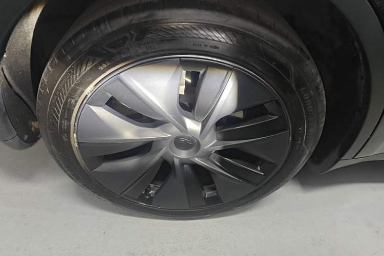 Used Tesla Model Y 2023 Rear-Wheel-Drive Version Exterior 5