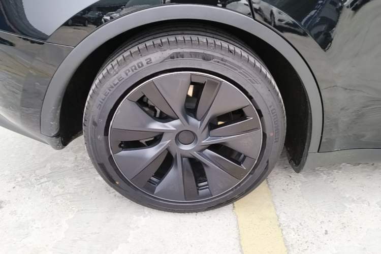 Used Tesla Model Y 2023 Rear-Wheel-Drive Version Exterior 5