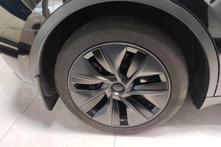 Used Tesla Model Y 2023 Rear-Wheel-Drive Version Exterior 5