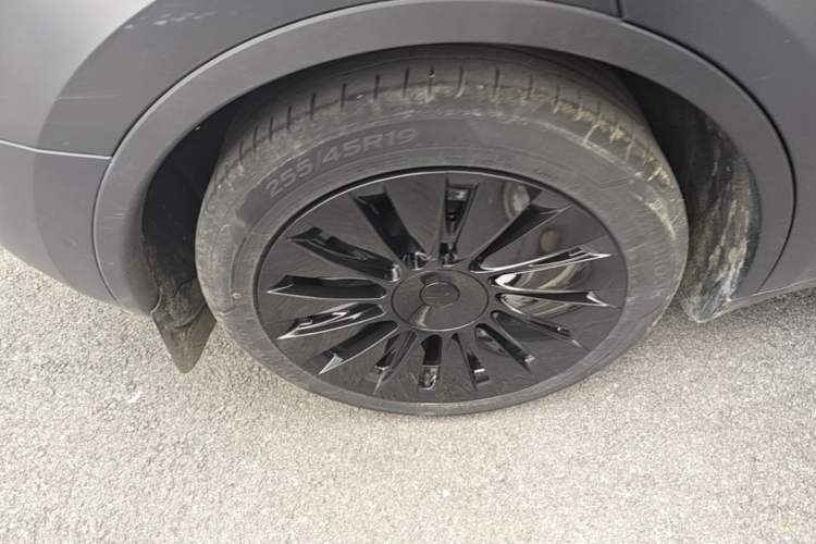 Used Tesla Model Y 2023 Long-Range All-Wheel-Drive Version Exterior 5