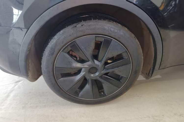 Used Tesla Model Y 2023 Rear-Wheel-Drive Version Exterior 5