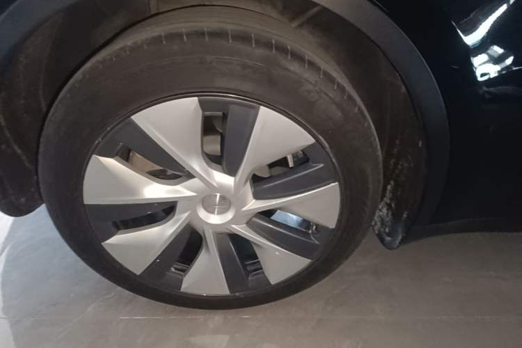 Used Tesla Model Y 2023 Rear-Wheel-Drive Version Exterior 5