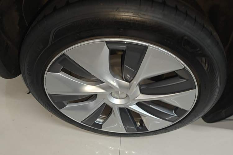 Used Tesla Model Y 2023 Rear-Wheel-Drive Version Exterior 5