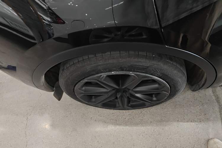 Used Tesla Model Y 2023 Rear-Wheel-Drive Version Exterior 5