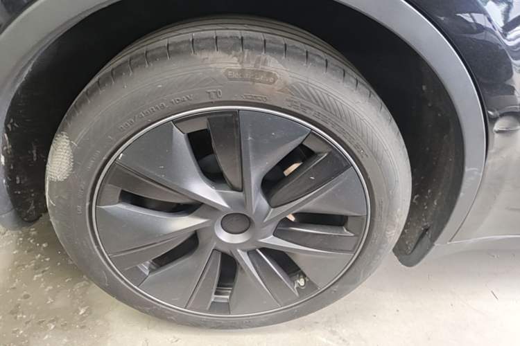 Used Tesla Model Y 2023 Rear-Wheel-Drive Version Exterior 5