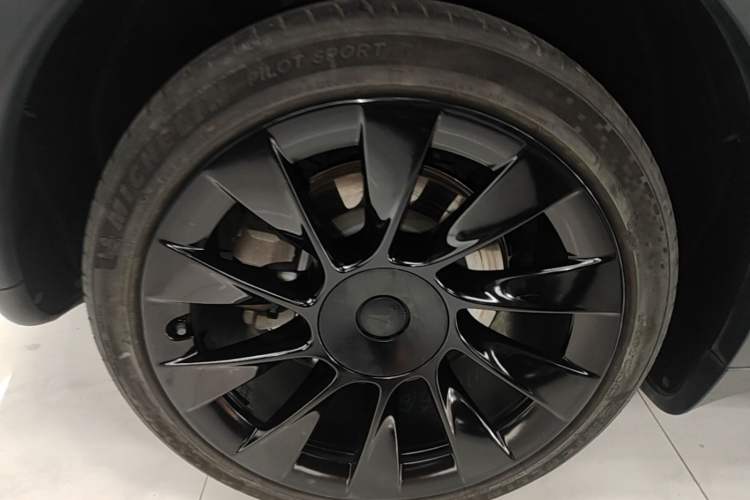 Used Tesla Model Y 2023 Long-Range All-Wheel-Drive Version Exterior 5