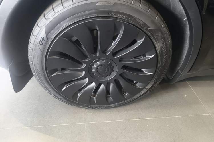 Used Tesla Model Y 2023 Rear-Wheel-Drive Version Exterior 5