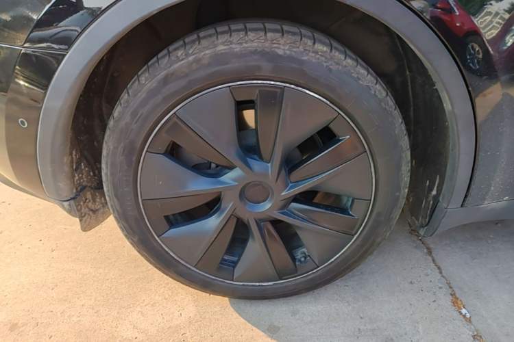 Used Tesla Model Y 2023 Rear-Wheel-Drive Version Exterior 5