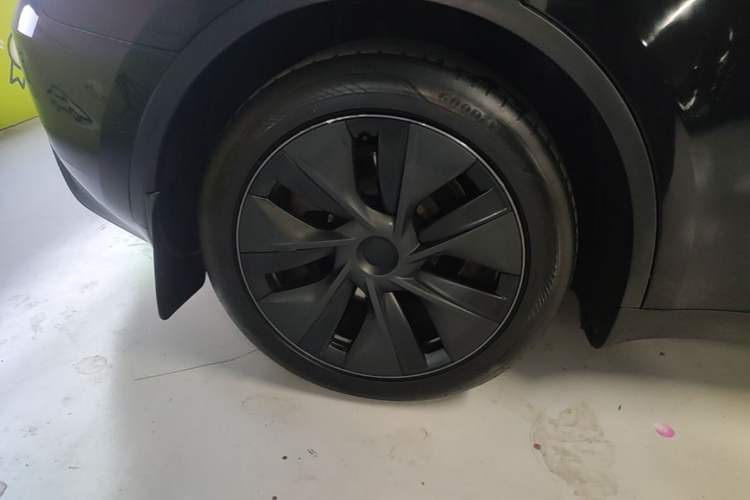 Used Tesla Model Y 2023 Rear-Wheel-Drive Version Exterior 5