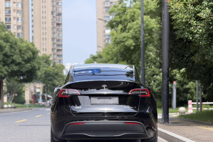 Used Tesla Model Y 2023 Rear-Wheel-Drive Version Exterior 5