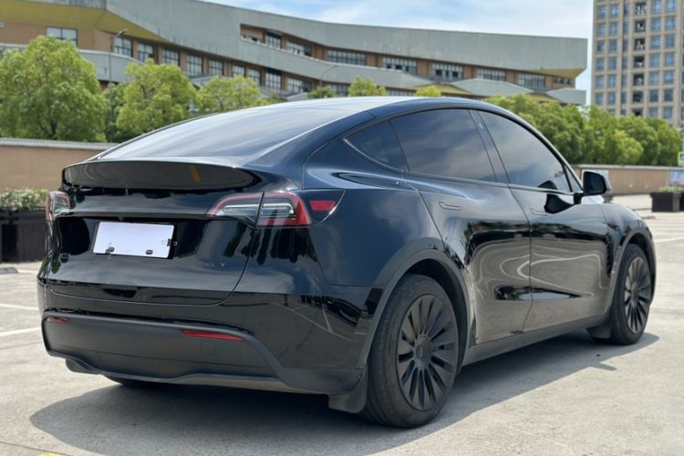 Used Tesla Model Y 2023 Rear-Wheel-Drive Version Exterior 6