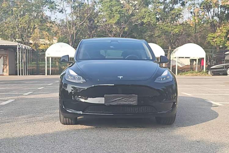 Used Tesla Model Y 2023 Rear-Wheel-Drive Version Exterior 6