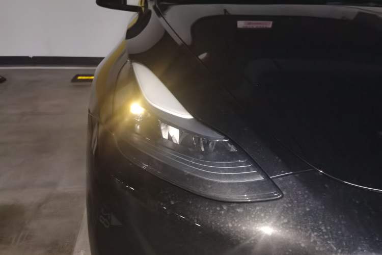Used Tesla Model Y 2023 Rear-Wheel-Drive Version Exterior 6