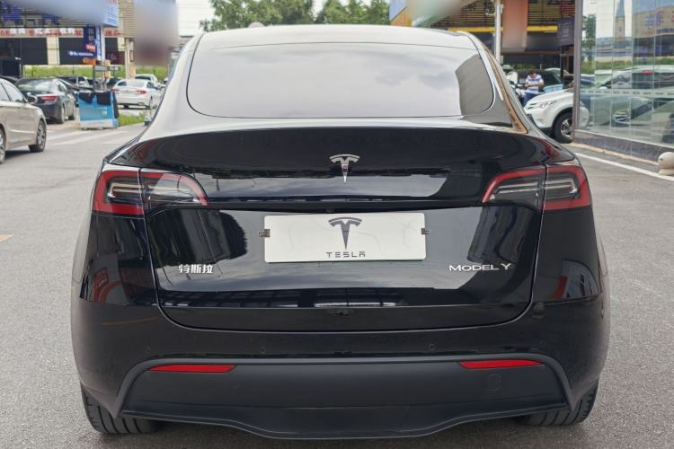 Used Tesla Model Y 2023 Rear-Wheel-Drive Version Exterior 6