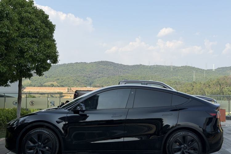 Used Tesla Model Y 2023 Rear-Wheel-Drive Version Exterior 6