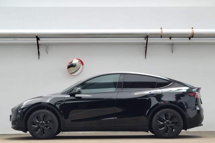 Used Tesla Model Y 2023 Rear-Wheel-Drive Version Exterior 6