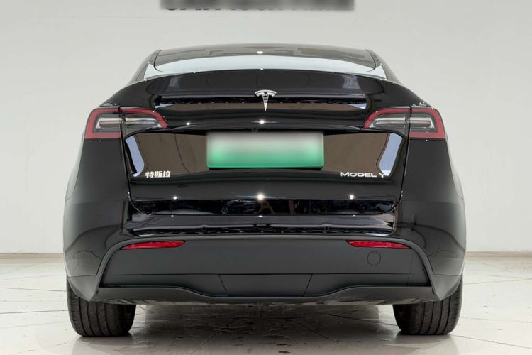 Used Tesla Model Y 2023 Rear-Wheel-Drive Version Exterior 6