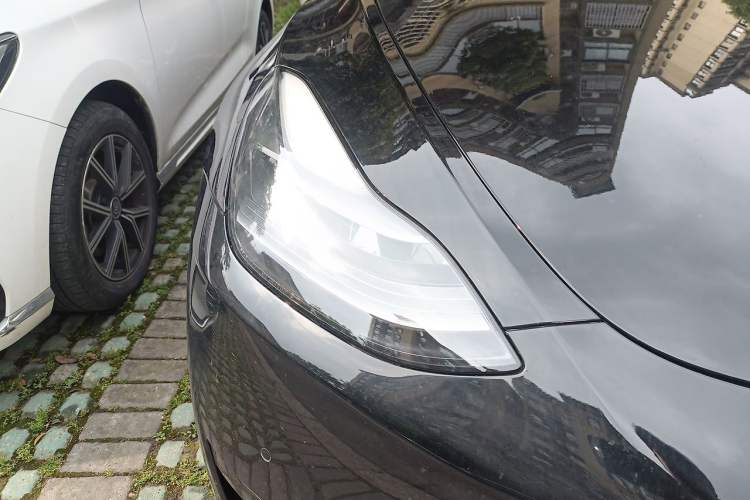 Used Tesla Model Y 2023 Rear-Wheel-Drive Version Exterior 6