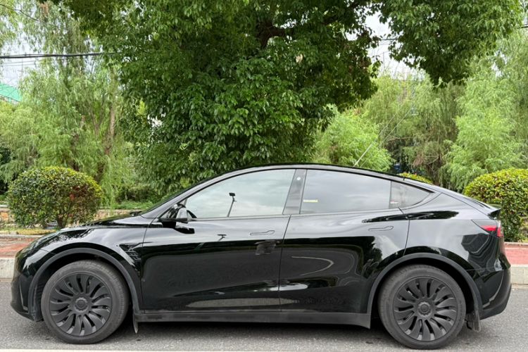 Used Tesla Model Y 2023 Rear-Wheel-Drive Version Exterior 6