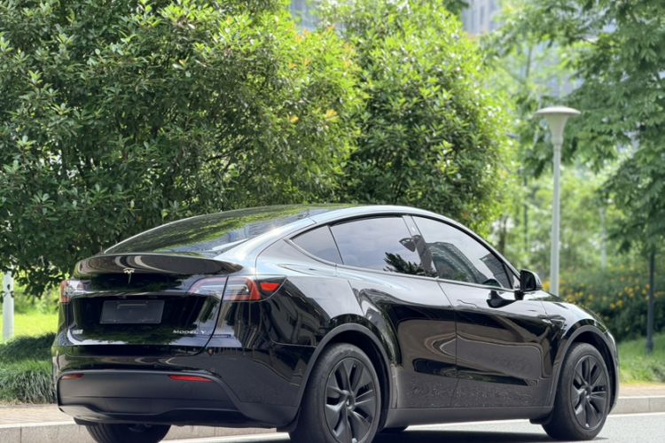 Used Tesla Model Y 2023 Rear-Wheel-Drive Version Exterior 6
