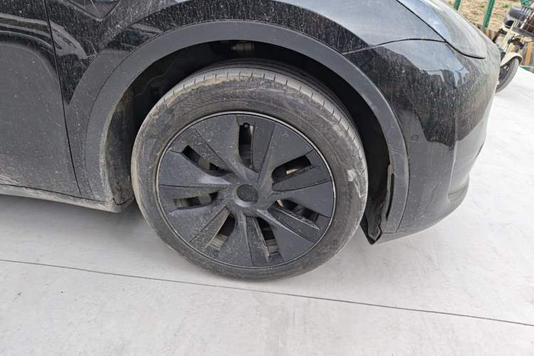 Used Tesla Model Y 2023 Rear-Wheel-Drive Version Exterior 7