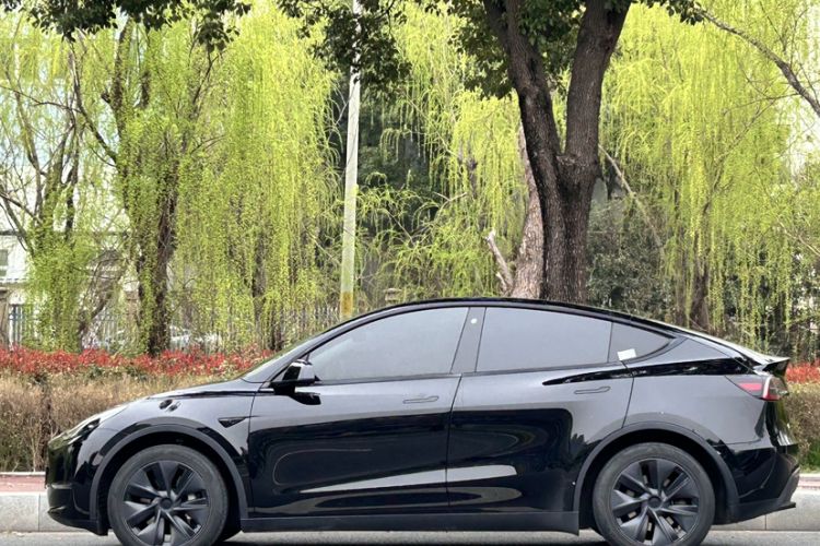 Used Tesla Model Y 2023 Long-Range All-Wheel-Drive Version Exterior 7