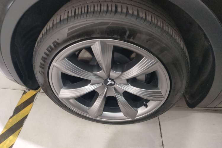 Used Tesla Model Y 2023 Rear-Wheel-Drive Version Exterior 7