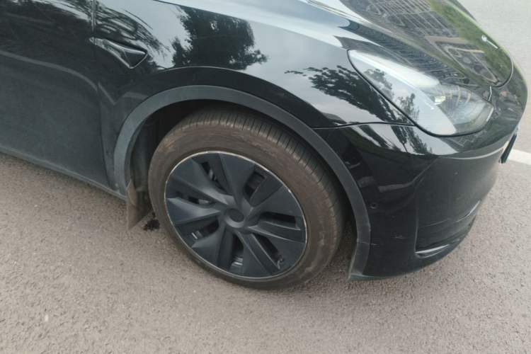 Used Tesla Model Y 2023 Rear-Wheel-Drive Version Exterior 7