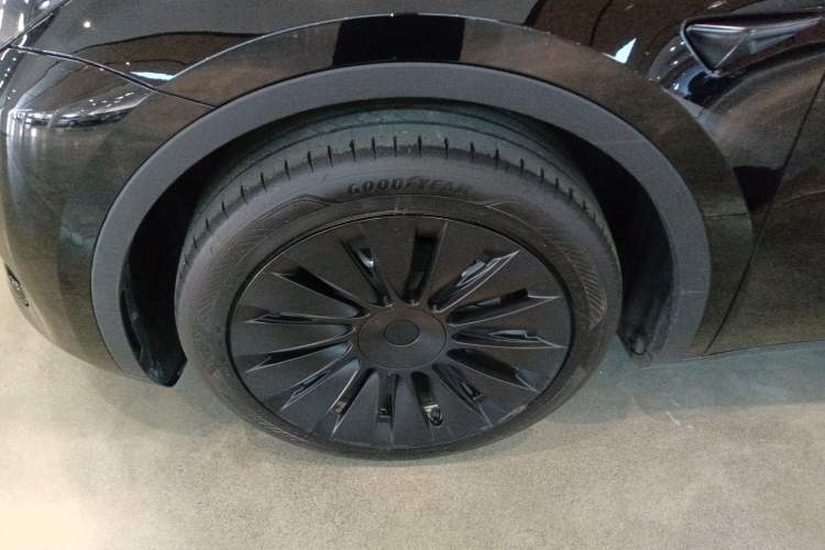 Used Tesla Model Y 2023 Rear-Wheel-Drive Version Exterior 7