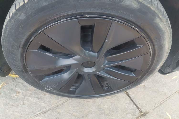 Used Tesla Model Y 2023 Rear-Wheel-Drive Version Exterior 7