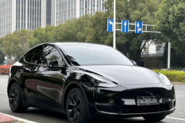 Used Tesla Model Y 2023 Long-Range All-Wheel-Drive Version Exterior 8