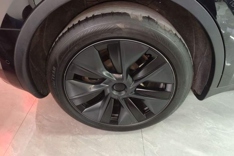 Used Tesla Model Y 2023 Rear-Wheel-Drive Version Exterior 8
