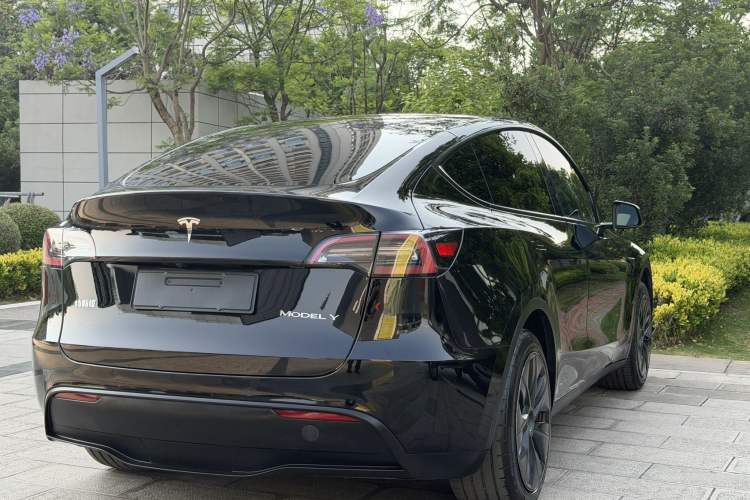 Used Tesla Model Y 2023 Rear-Wheel-Drive Version Exterior 8