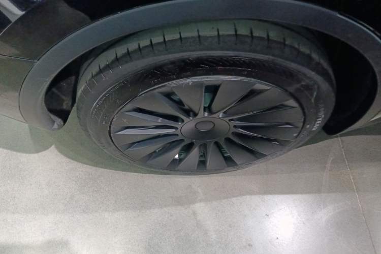 Used Tesla Model Y 2023 Rear-Wheel-Drive Version Exterior 8