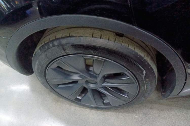 Used Tesla Model Y 2023 Rear-Wheel-Drive Version Exterior 8