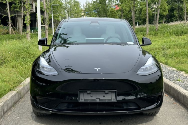 Used Tesla Model Y 2023 Rear-Wheel-Drive Version Exterior 8