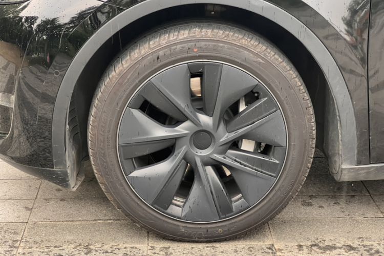 Used Tesla Model Y 2023 Long-Range All-Wheel-Drive Version Exterior 8