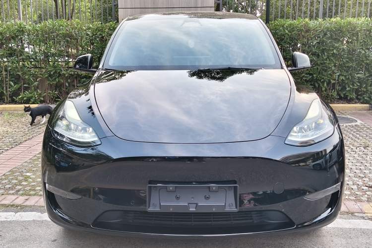 Used Tesla Model Y 2023 Long-Range All-Wheel-Drive Version Front
