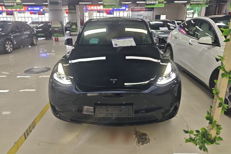 Used Tesla Model Y 2023 Rear-Wheel-Drive Version Front