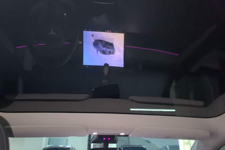 Used Tesla Model Y 2023 Rear-Wheel-Drive Version Headliner